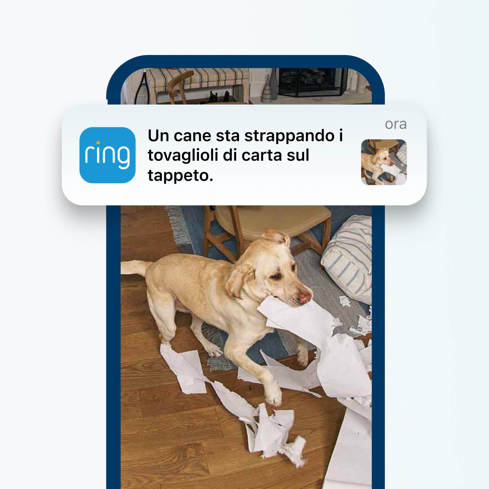 Ring aggiorna la sicurezza domestica don descrizioni AI e crittografia TAKE - macitynet.it Ring aggiorna la sicurezza domestica don descrizioni AI e crittografia TAKE - macitynet.it