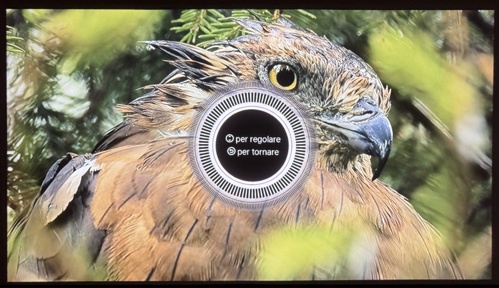Recensione Blackview PV1000 Max, il proiettore Full HD economico che sorprende per luminosità e VIDAA - macitynet.it Recensione Blackview PV1000 Max, il proiettore Full HD economico che sorprende per luminosità e VIDAA - macitynet.it
