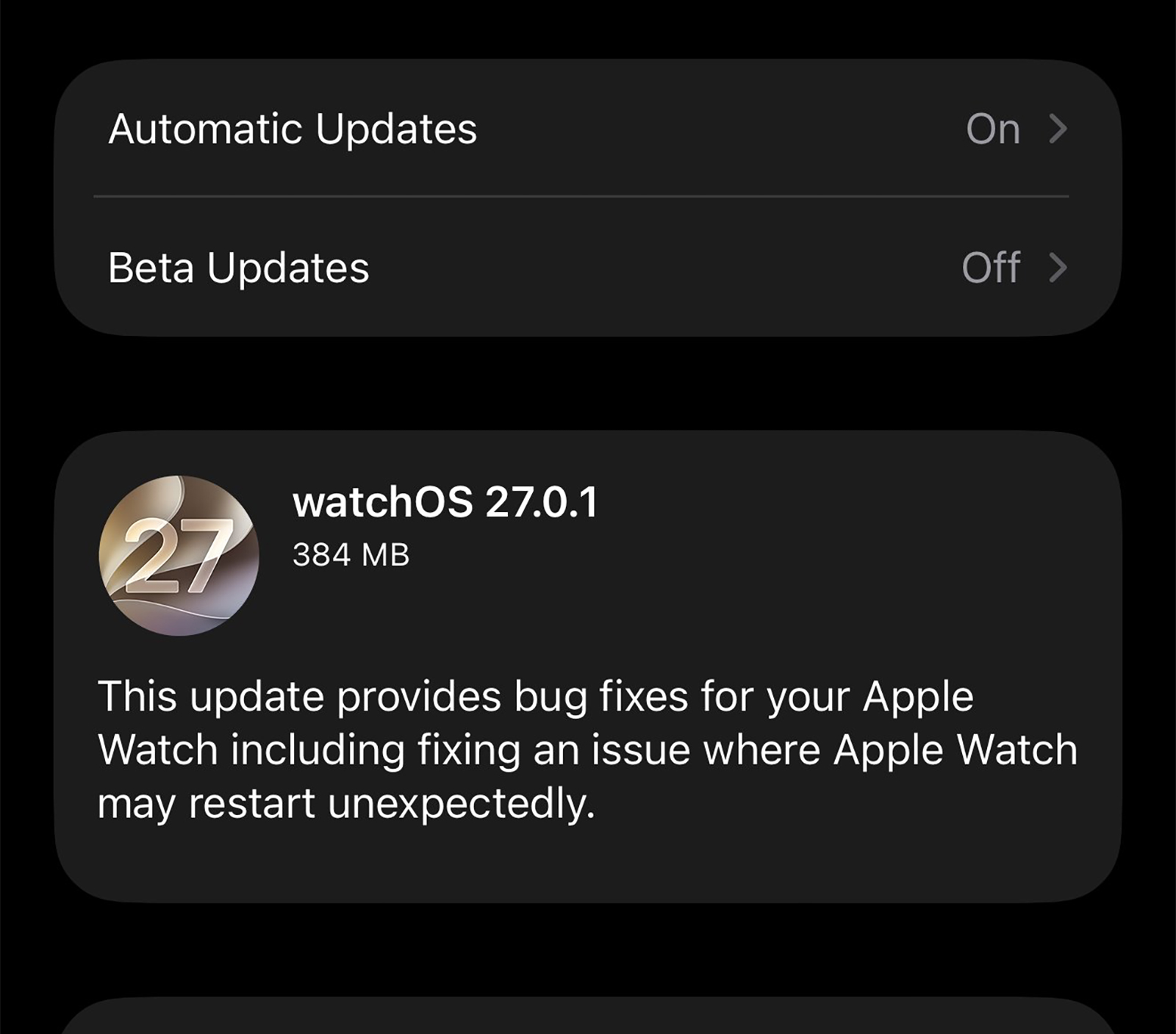 Disponibile aggiornamento a watchOS 27.0.1, risolto bug che riavviava lo smartwatch - macitynet.it Disponibile aggiornamento a watchOS 27.0.1, risolto bug che riavviava lo smartwatch - macitynet.it