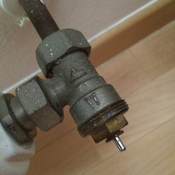 il perno che regola l'apertura della valvola con la rotazione della vite
