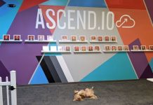 Apple si prende la tecnologia di Ascend.io, ecco perché può servire alla sua AI Apple ha comprato Ascend.io, startup specializzata in AI engineering agentica - macitynet.it