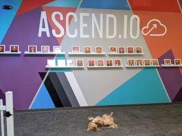 Apple si prende la tecnologia di Ascend.io, ecco perché può servire alla sua AI Apple ha comprato Ascend.io, startup specializzata in AI engineering agentica - macitynet.it