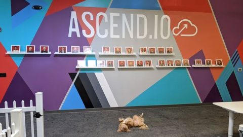 Apple si prende la tecnologia di Ascend.io, ecco perché può servire alla sua AI