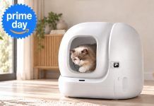 Basta paletta ogni giorno: la lettiera robot PETKIT scende sotto i 390 euro Basta paletta ogni giorno: la lettiera robot PETKIT scende sotto i 390 euro - macitynet.it
