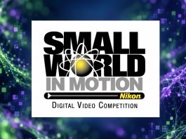 L’intelligenza artificiale guasta la festa al concorso Nikon L’intelligenza artificiale guasta la festa al concorso Nikon - macitynet.it
