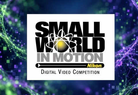 L’intelligenza artificiale guasta la festa al concorso Nikon
