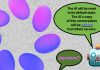 Meta AI su WhatsApp: cosa cancella il comando /reset-ai Bozza automatica - macitynet.it