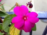 Due settimane con iPhone 5: la recensione – Parte 3