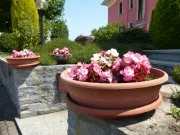 immagini panasonic lumix sz9 001