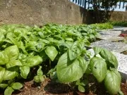 immagini panasonic lumix sz9 011