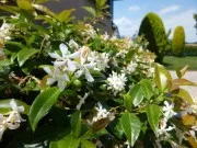 immagini panasonic lumix sz9