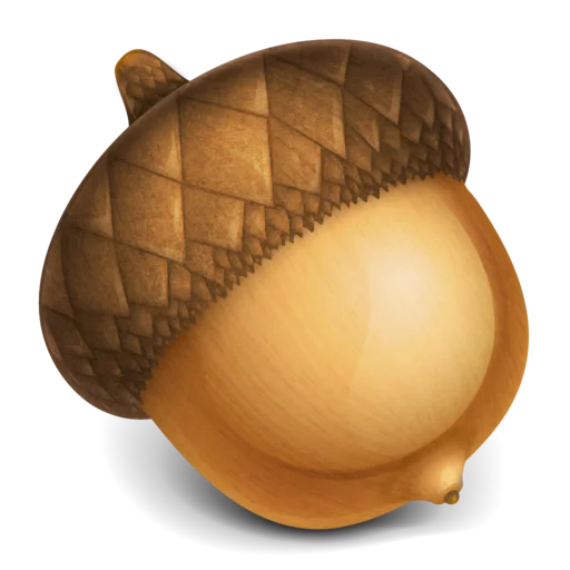 Acorn