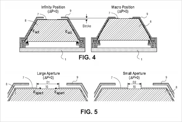 apple muscolo fotografico