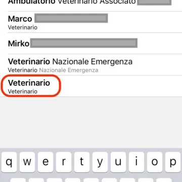 Eliminare contatti doppi su iPhone (e Mac) senza alcun software