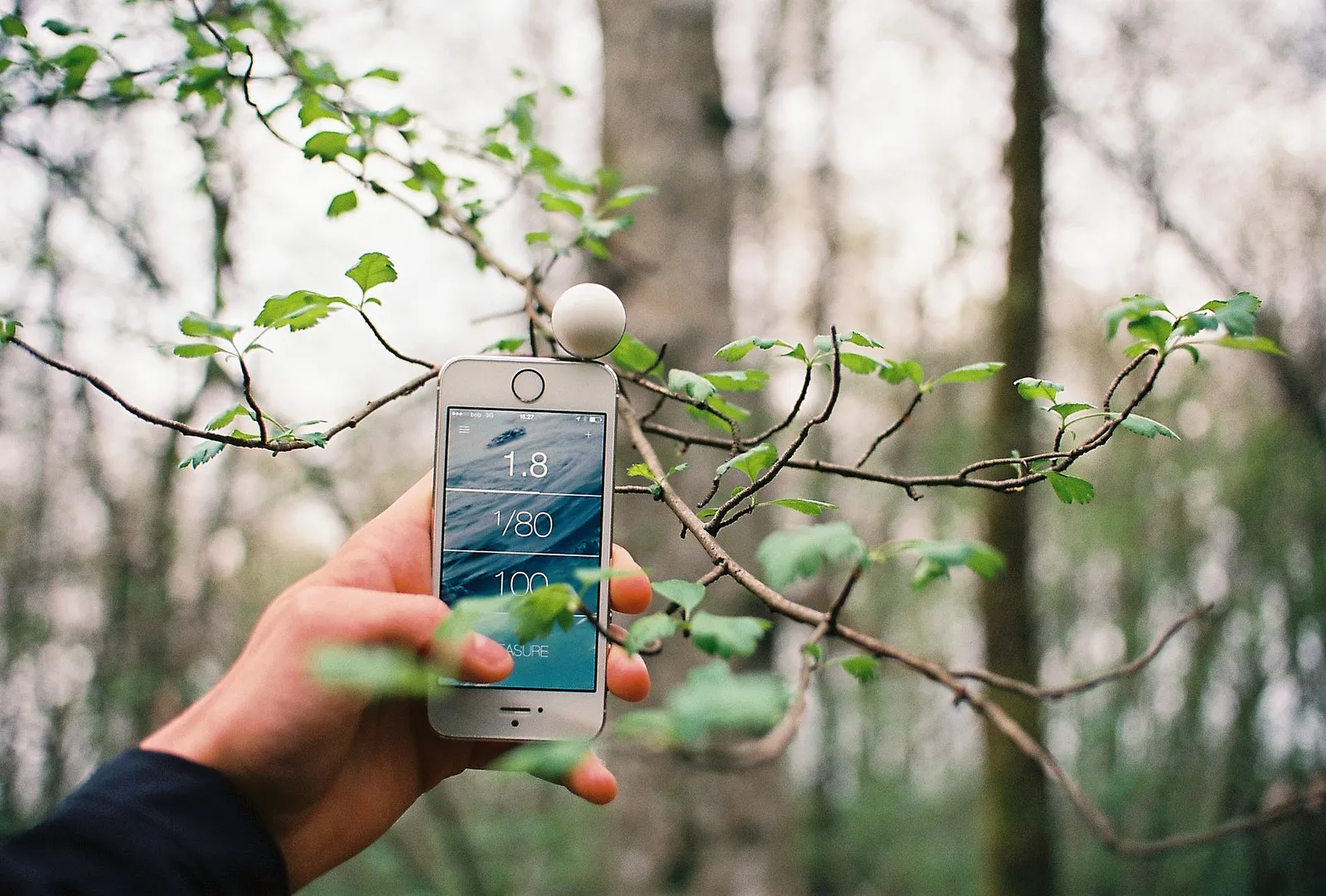 13901775111_878a2c38a3_h