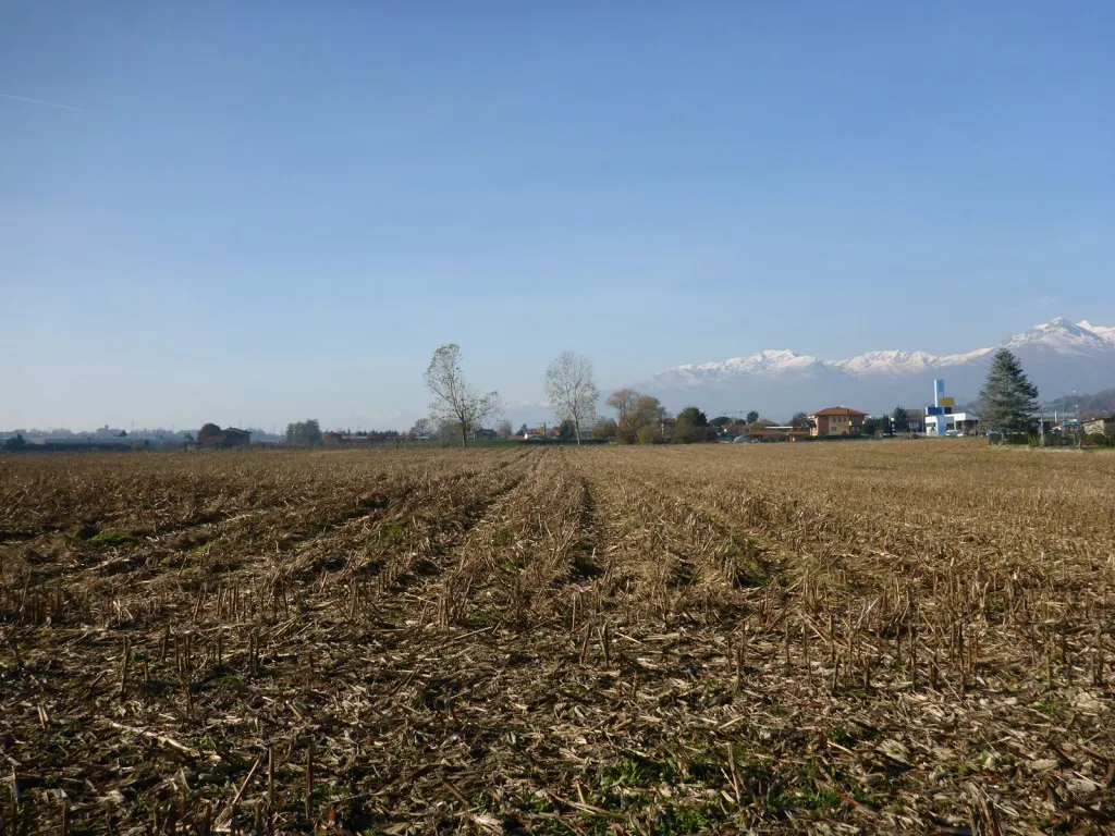 In condizione di luce ideale i risultati sono molto buoni