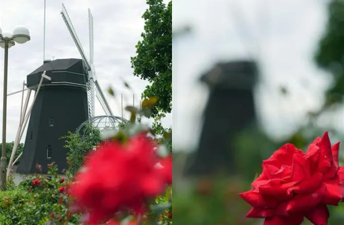 panasonic-post-focusing-670x439