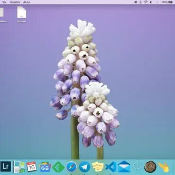 Come mostrare e nascondere il Dock del Mac senza ritardi