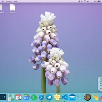 Come mostrare e nascondere il Dock del Mac senza ritardi
