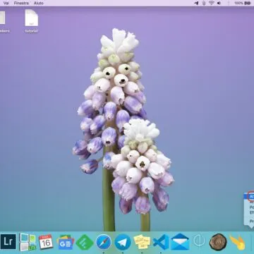 Come mostrare e nascondere il Dock del Mac senza ritardi