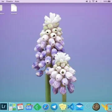 Come mostrare e nascondere il Dock del Mac senza ritardi