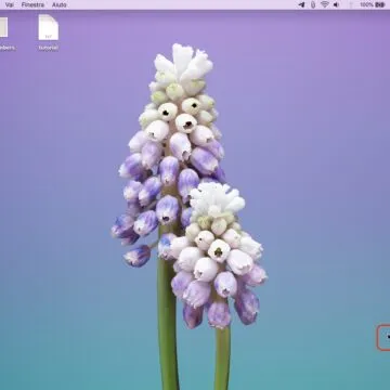 Come mostrare e nascondere il Dock del Mac senza ritardi