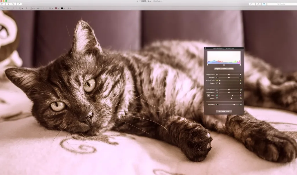 Schermata 13-03-16 14-43