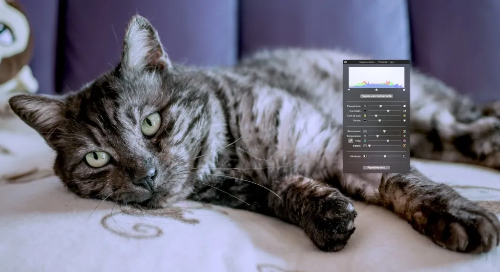 Schermata 13-03-16 14-44