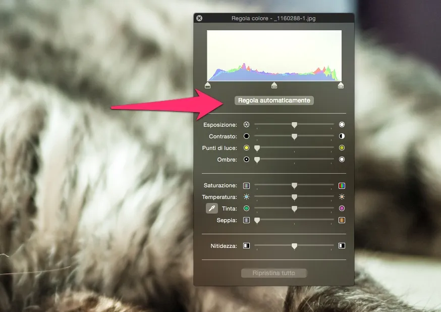 regola automaticamente colore anteprima