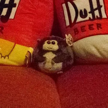 Ricoh GR II ISO 25600