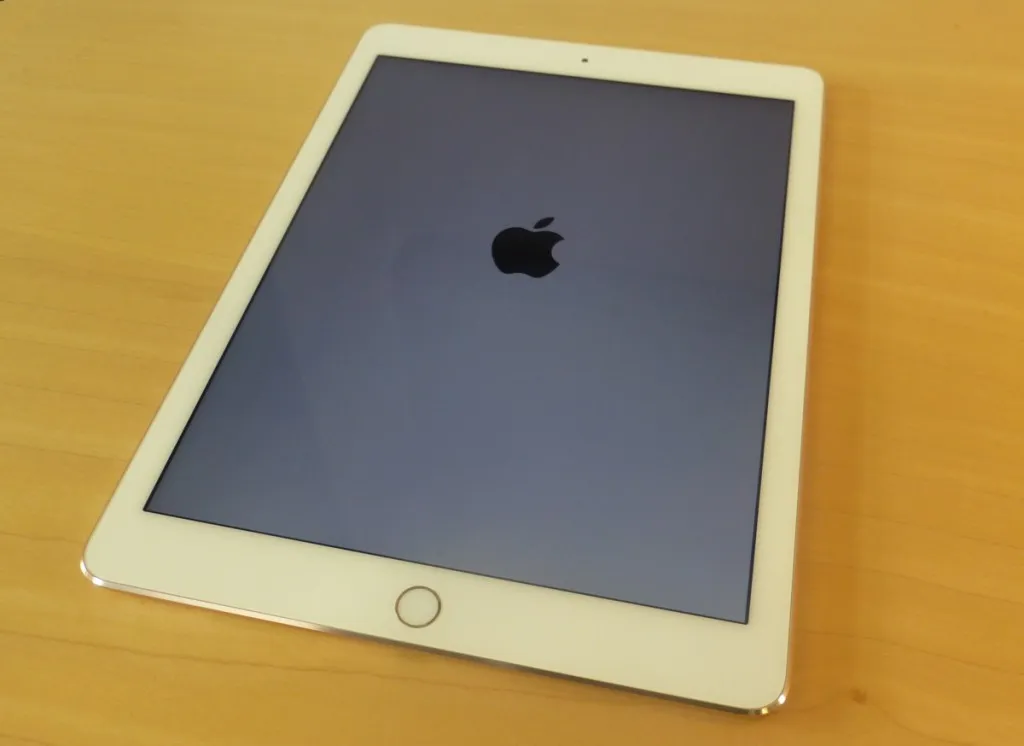 bug 1970 1200 ipad acceso