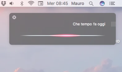 Per alcune funzioni di Siri, è necessario spuntare specifiche opzioni nella sezione Sicurezza e Privacy