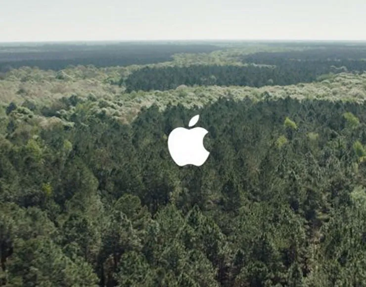 Apple ambiente