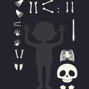 questo e il mio corpo anatomia bambini icona