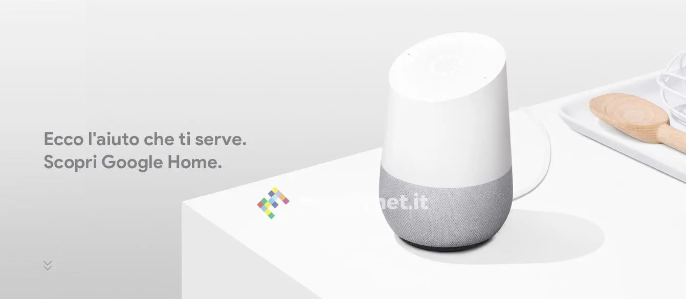 google home