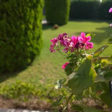 Recensione ASUS ZenFone 5