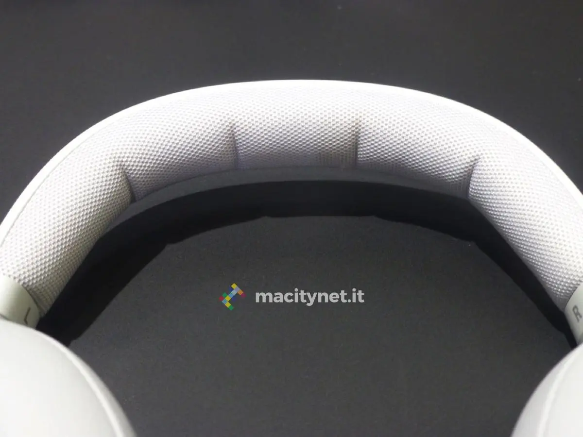 fresh ’n rebel clam foto clam fresh rebel clam 3