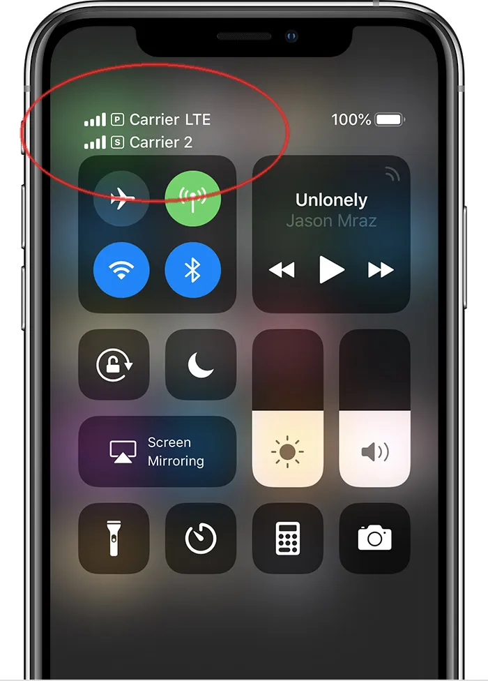 Tim Cook: “La dual SIM su iPhone nata da specifiche richieste del mercato cinese”. dual sim in iPhone