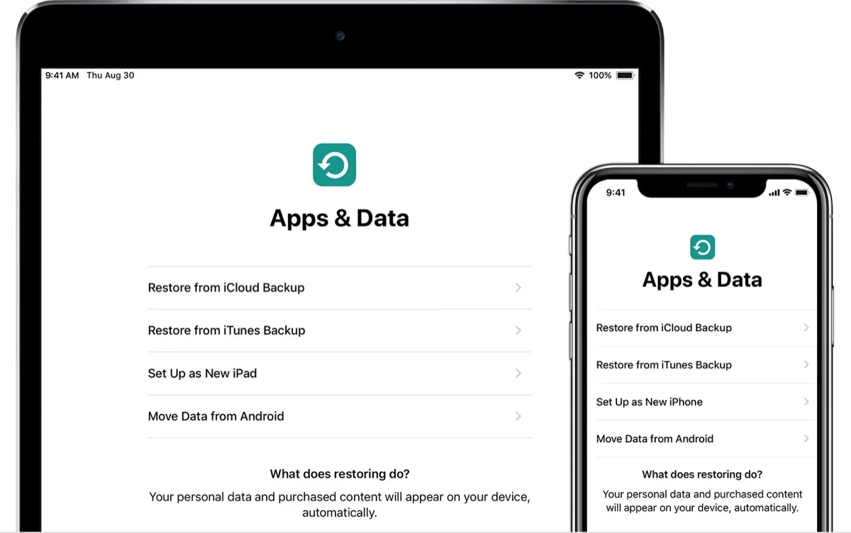 Backup di iPhone e iPad: è meglio iTunes o iCloud? Backup di iPhone e iPad: è meglio iTunes o iCloud?
