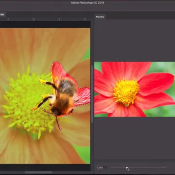 Adobe Max 2018, presentati Project Gemini e Photoshop CC per iPad