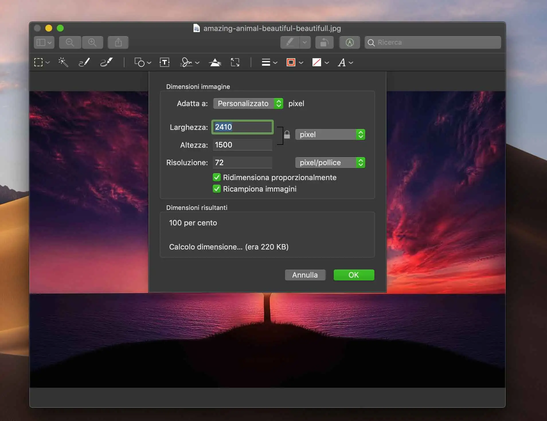Anteprima consente di ricampionare l'immagine in vari modi Come cambiare l’immagine della schermata di login in macOS Mojave