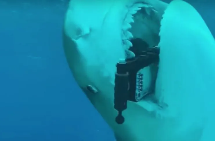 Anche agli squali piace iPhone: ecco il dietro alle quinte dello spot Apple