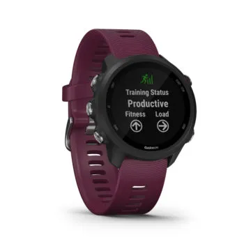 garmin forerunner 245 10