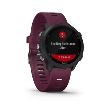 garmin forerunner 245 11