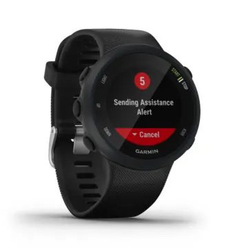 garmin forerunner 45 2
