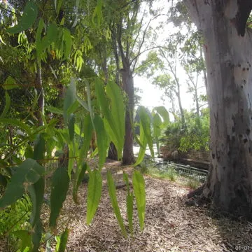 Recensione action cam V50 Pro, non una delle tante camere economiche