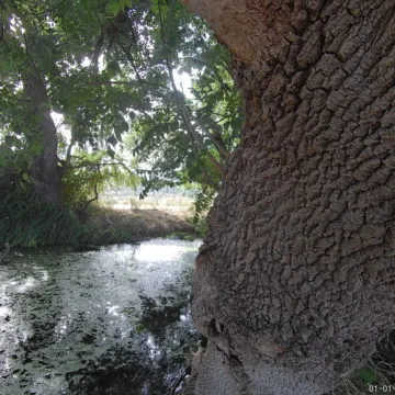 Recensione action cam V50 Pro, non una delle tante camere economiche