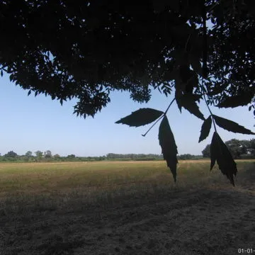 Recensione action cam V50 Pro, non una delle tante camere economiche