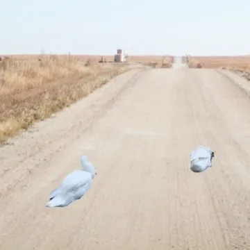 BG – Cancella foto su sfondo, l’app per iOS che scontorna le foto con l’intelligenza artificiale