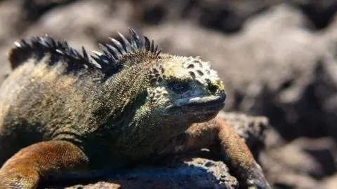 Apple nominata agli Emmy per gli spot “Shot on iPhone” e “Behind the Mac” Apple nominata agli Emmy per gli spot “Shot on iPhone” e “Behind the Mac”